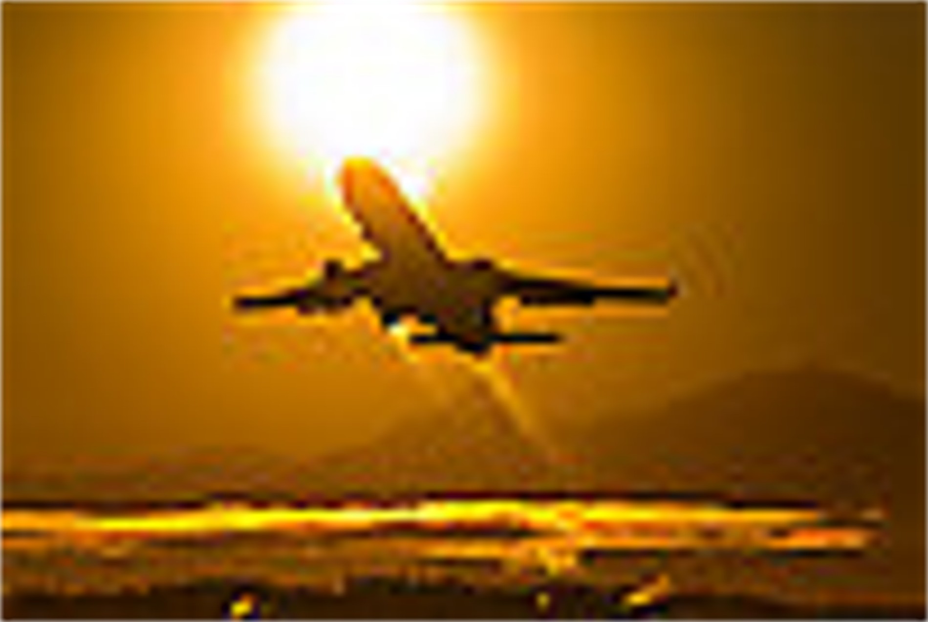 Commercial Airliner